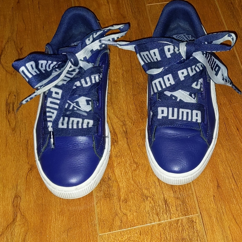 Blue pumas
